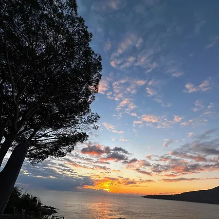 Corolaggio Sagone (Corsica)
